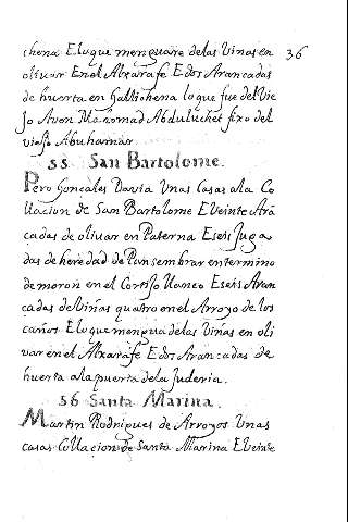 36