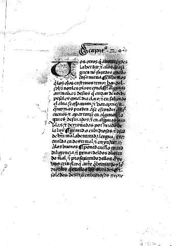 Capitº 20