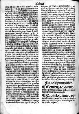 Libro octavo