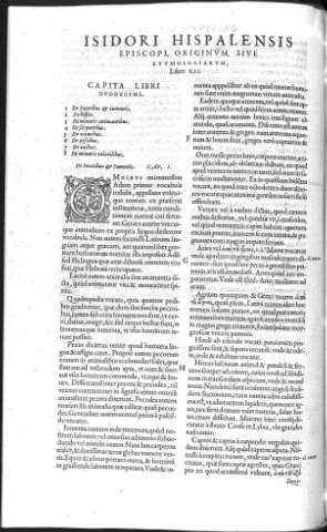 Liber XII