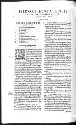 Liber XVII