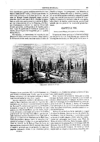 Capitulo VIII
