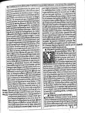 cxxxviii