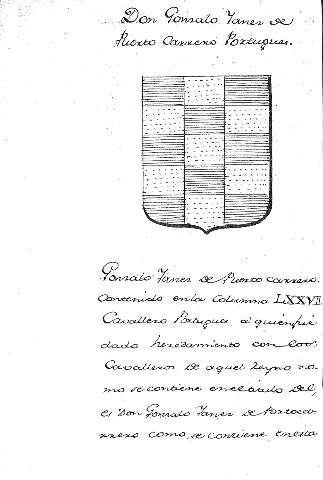 Don Gonzalo Yanez de Puerto Carrero Portugues