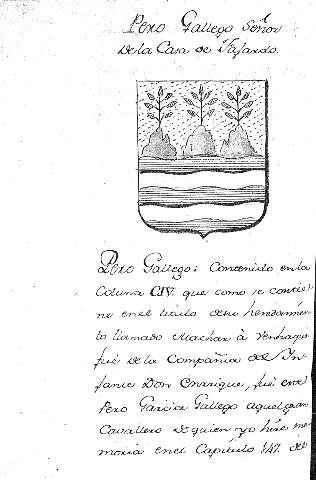 Pero Gallego Señor de la Casa de Fajardo