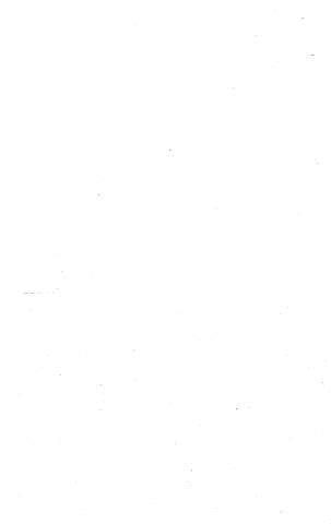 206