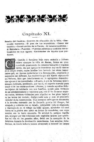 Capítulo XI.