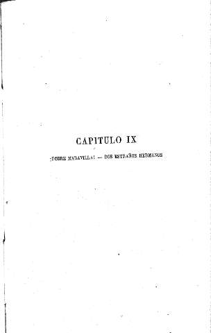 Capítulo IX. ¡Pobre maravilla! - Dos estraños hermanos