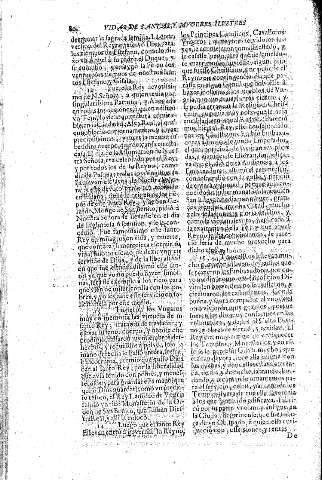 80