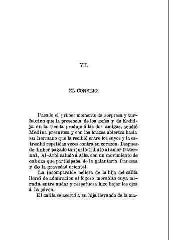 VII. El Consejo.