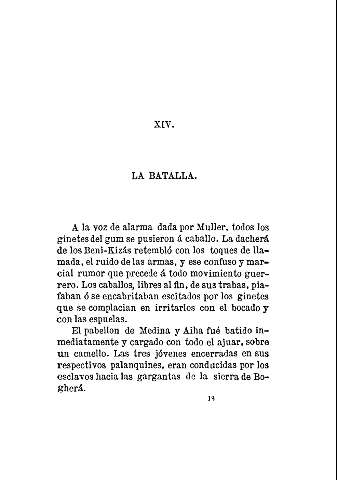 XIV. La batalla.