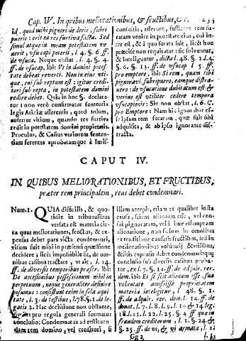 Caput IV. In quibus meliorationibus, et fructibus, praeter rem principalem, reus debet condemnari