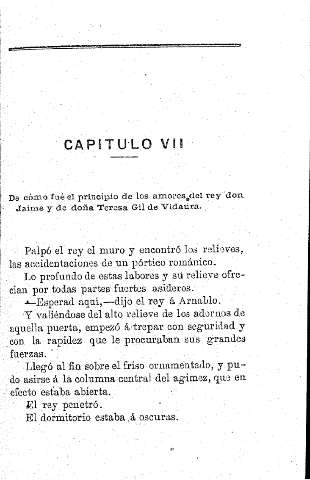Capítulo VII