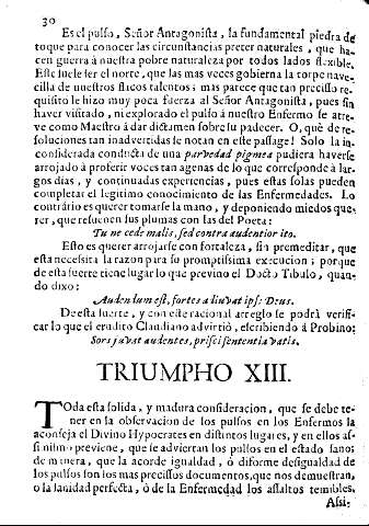 Triumpho XIII.