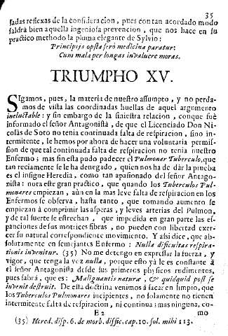 Triumpho XV.