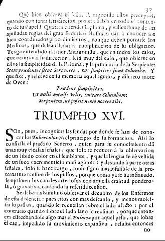 Triumpho XVI.