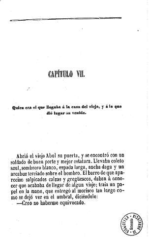Capítulo VII.
