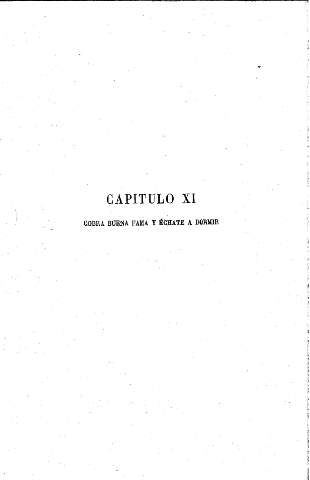Capítulo XI. Cobra buena fama y échate a dormir