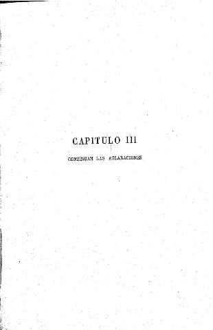 Capítulo III. Continuan las aclaraciones