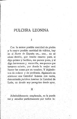 Pulchra leonina