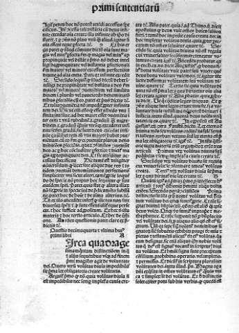 Questio decimaquarta