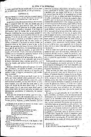 81