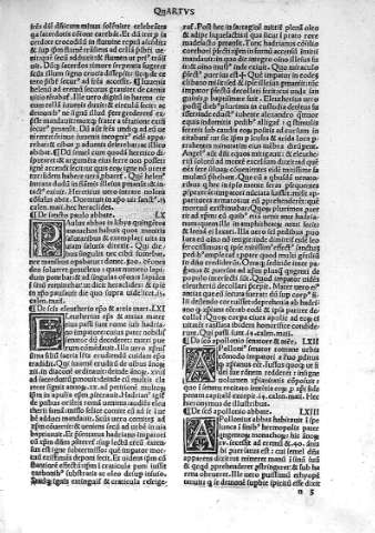n 3