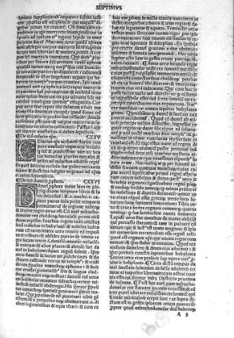 A 3
