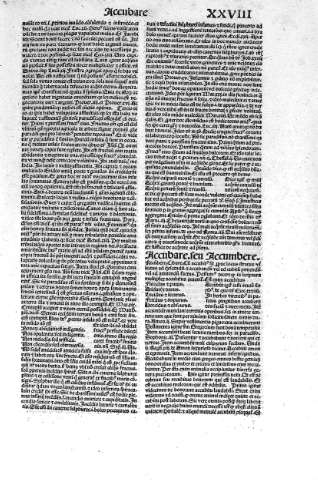 XXVIII