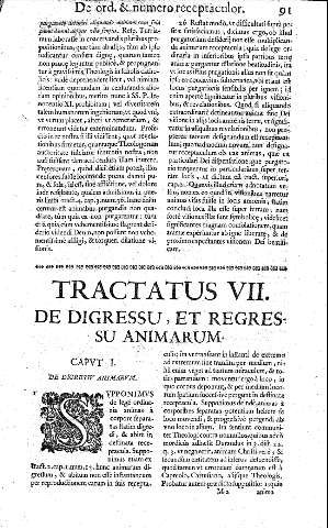 Tractatus VII