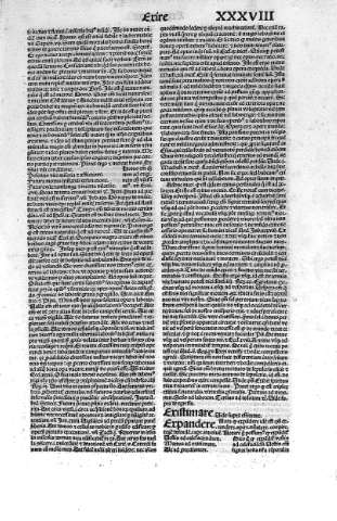 XXXVIII