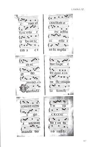 507