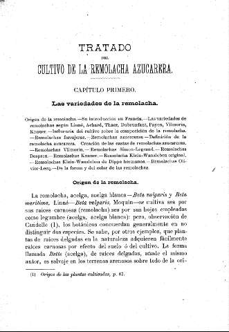 Tratado del cultivo de la remolacha azucarera - Capítulo Primero. Las variedades de la remolacha