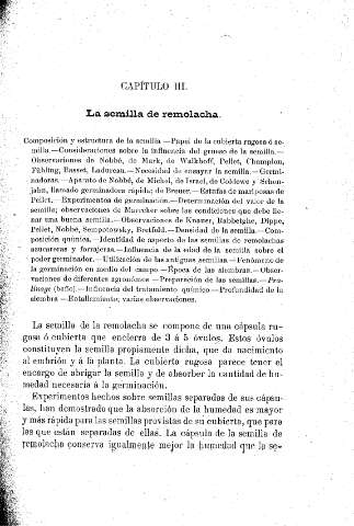 Capítulo III. La semilla de la remolacha