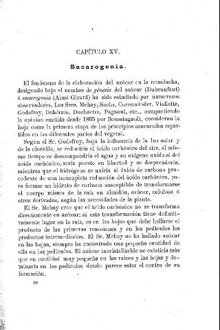 Capítulo XV. Sacarogenia