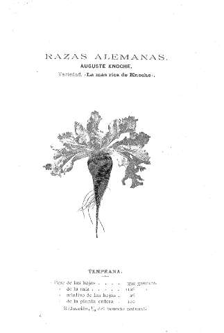 Razas alemanas