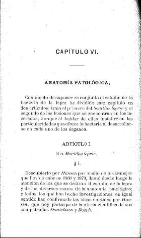 Capítulo VI. Anatomía patológica