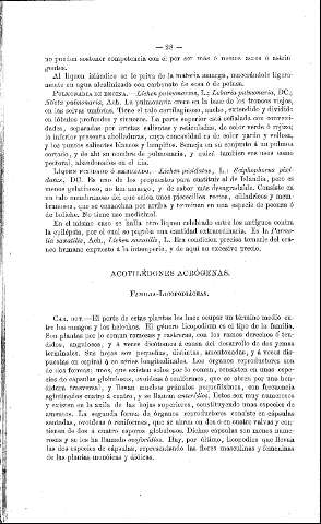 Acotilédones acrógenas