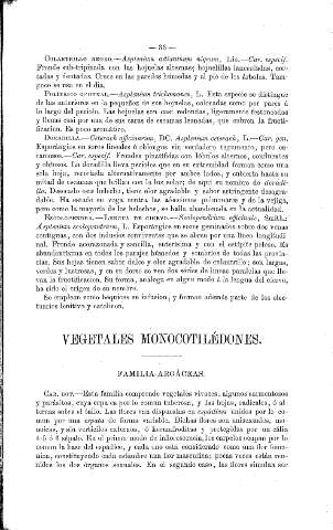 Vegetales monocotilédones