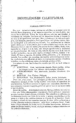 Dicotilédones calicifloras