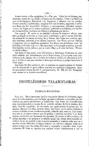 Dicotilédones talamifloras