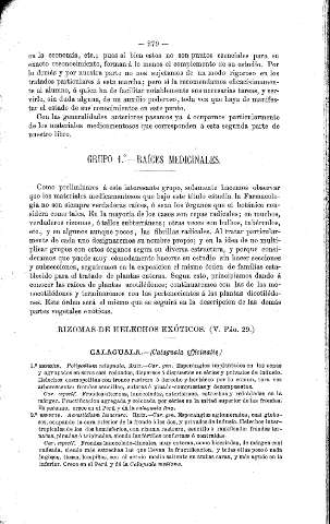 Grupo 1º. Raíces medicinales