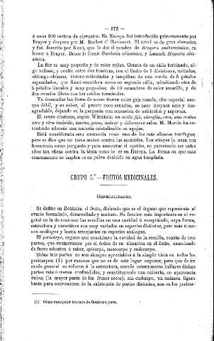 Grupo 5º. Frutos medicinales