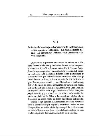 VII. La fiesta de homenaje.- La bandera de la Concepción.- Los Maitines.- Aleluyas.- La Misa de media noche.- La oración del Prelado.- La Comunión.- La vela nocturna