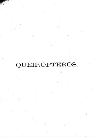 Queirópteros