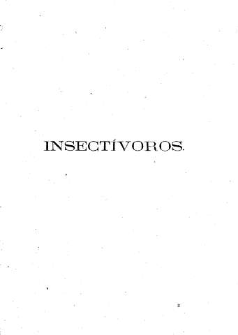 Insectívoros