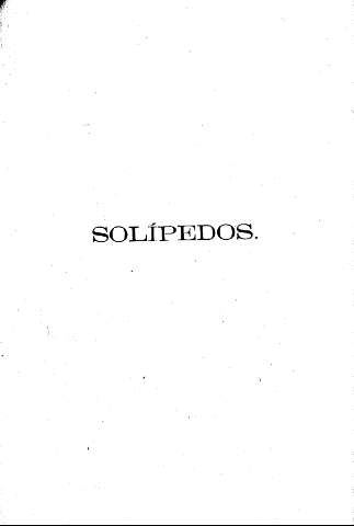 Solípedos
