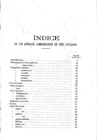 Índice de los animales comprendidos en este catálogo