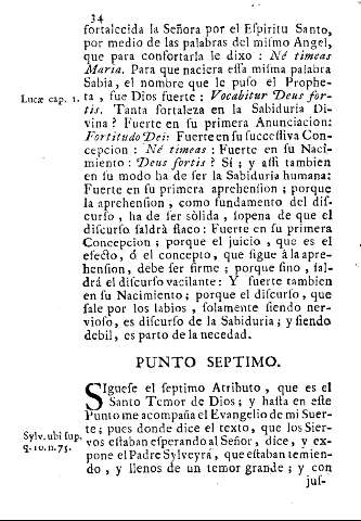 Punto septimo