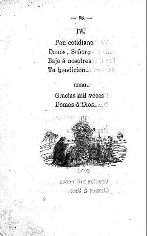 66